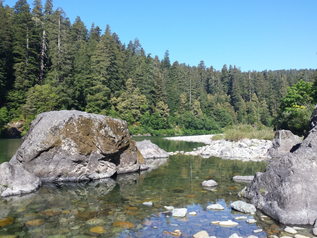 View downriver on a sunny day, California redwoods